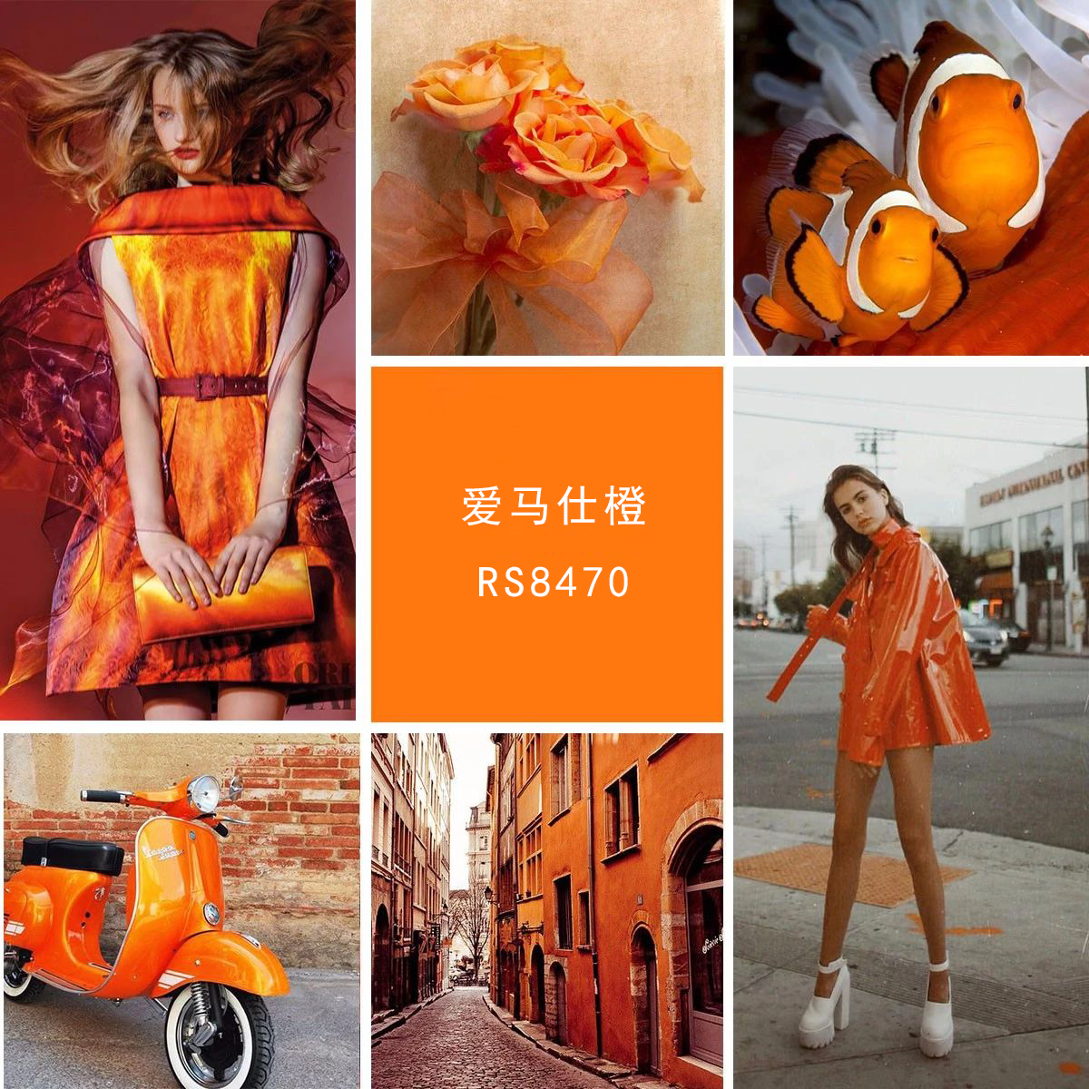 爱马仕橙